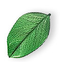 floating_leaf_01 https://wn-services.de/wp-content/uploads/2025/07/floating_leaf_01.png